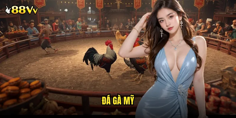 đá gà Mỹ