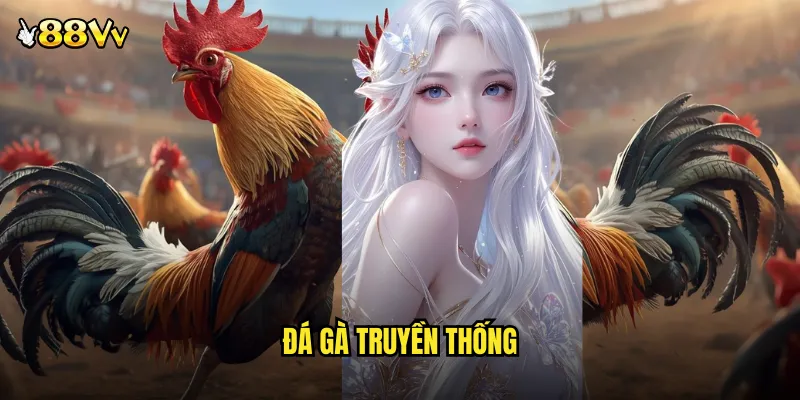 đá gà truyền thống