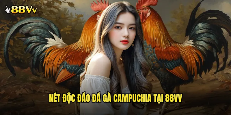 Nét Độc Đáo Đá Gà Campuchia Tại 88VV