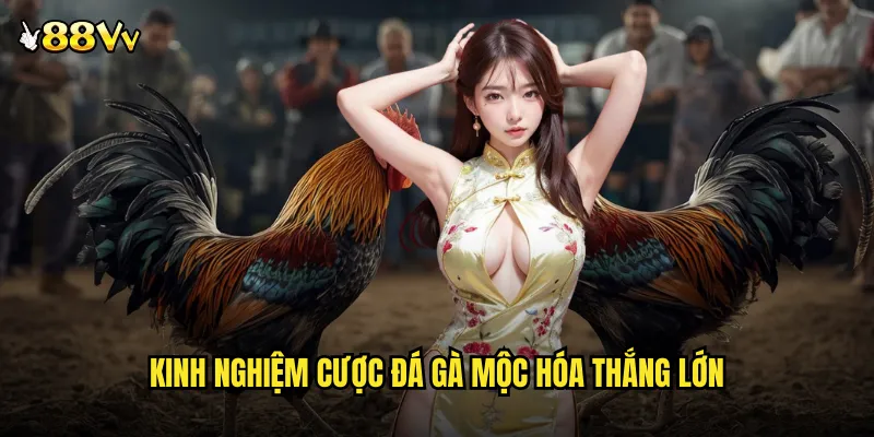 Kinh Nghiệm Cược Đá Gà Mộc Hóa Thắng Lớn