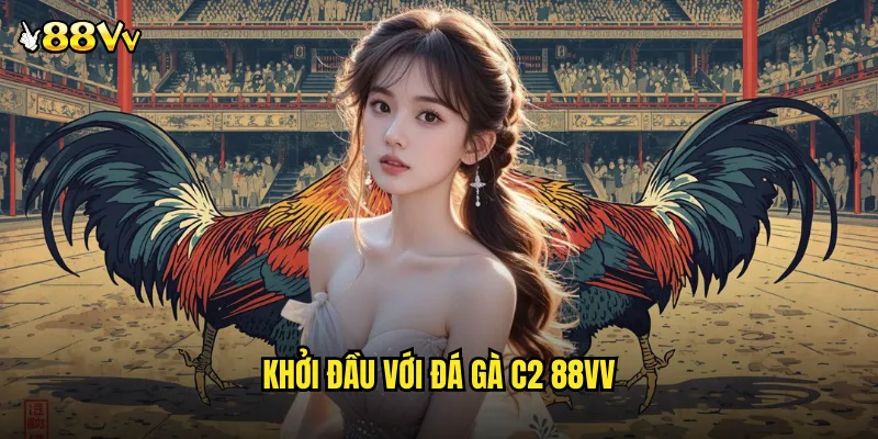 Khởi Đầu Với Đá Gà C2 88VV