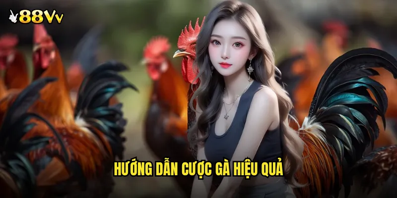 Hướng Dẫn Cược Gà Hiệu Quả